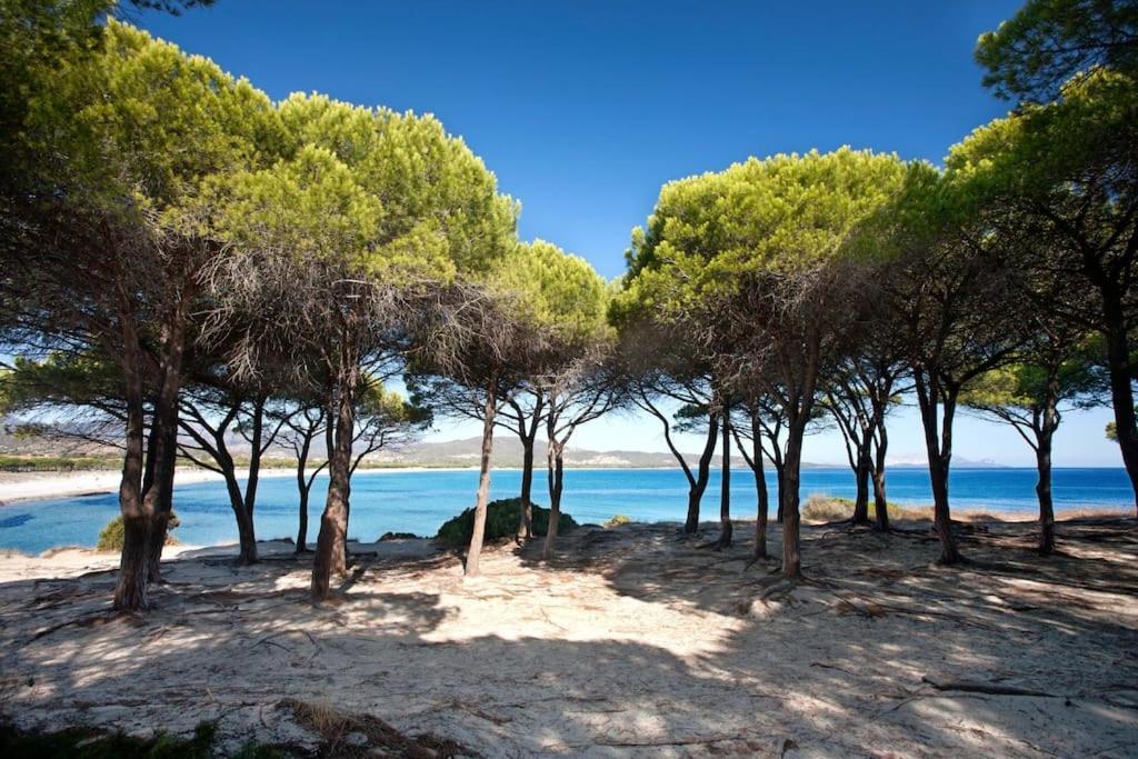 Lu Affitti Holiday home